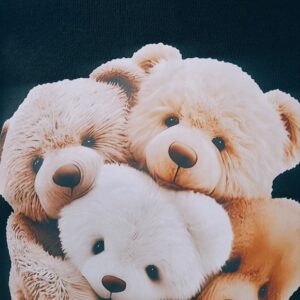 %f0%9f%a7%b8jersey-bears